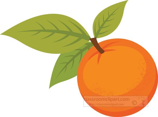 single orange with leaf and stem clipart