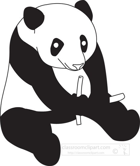 sitting panda bear black outline clipart