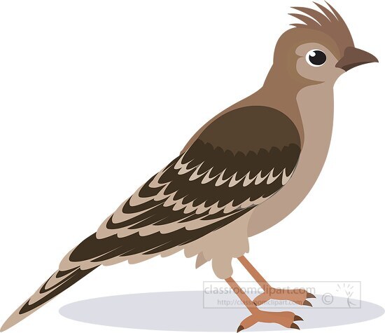 skylark bird clipart