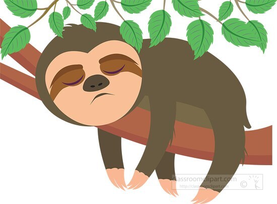 Sloth Sleeping On Tree Clipart 