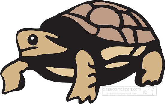 small brown tortoise clipart side view