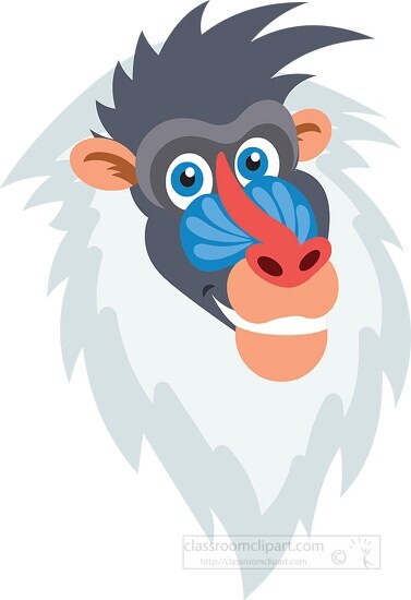 smiling large baboon face clipart