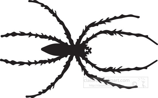 spider top view silhouette clipart 8