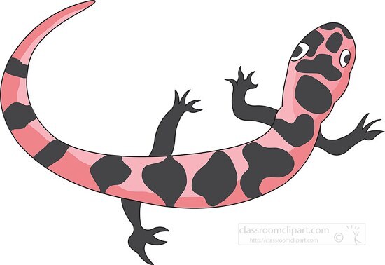 spotted salamander clipart