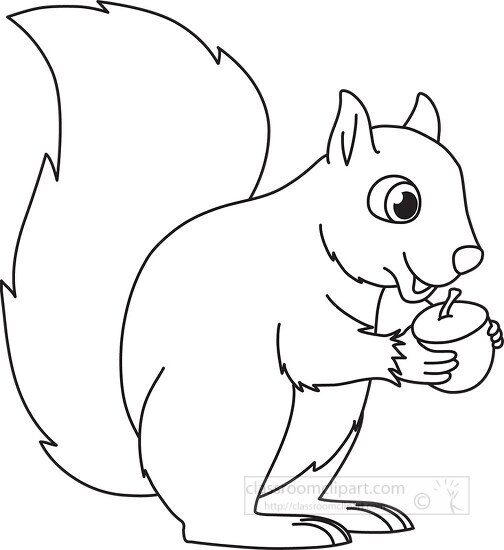 squirrel holding acorn nut black white outline clipart
