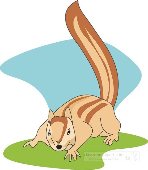 squirrel with strips on tail clipart