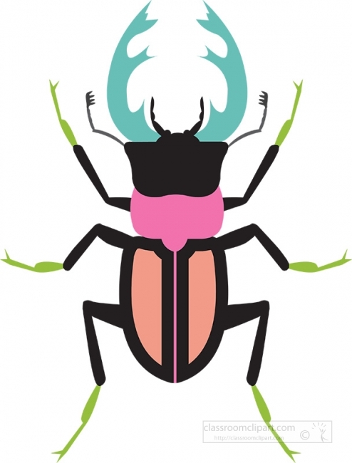 stag beetle insect gray color clipart
