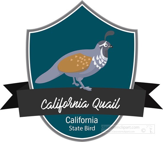 State bird of California the California quail clipart