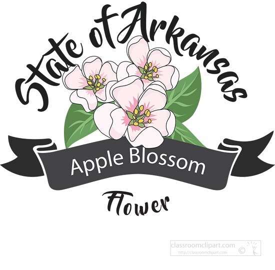 state flower of arkansas apple blossom clipart