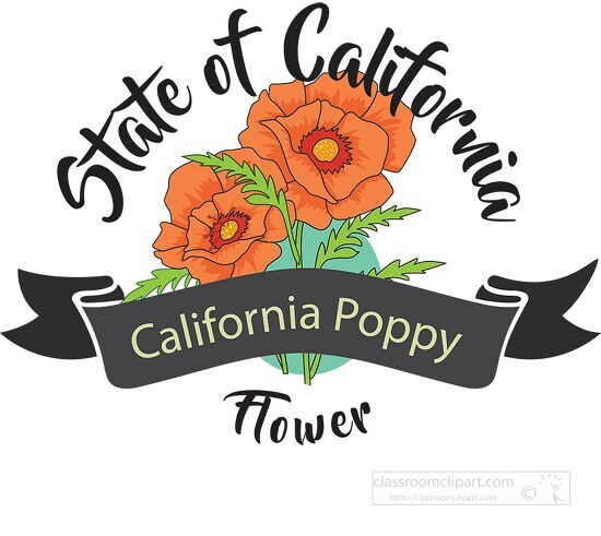 state flower of california poppy clipart image