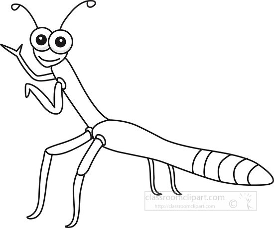 Stick Insect Cartoon Outline