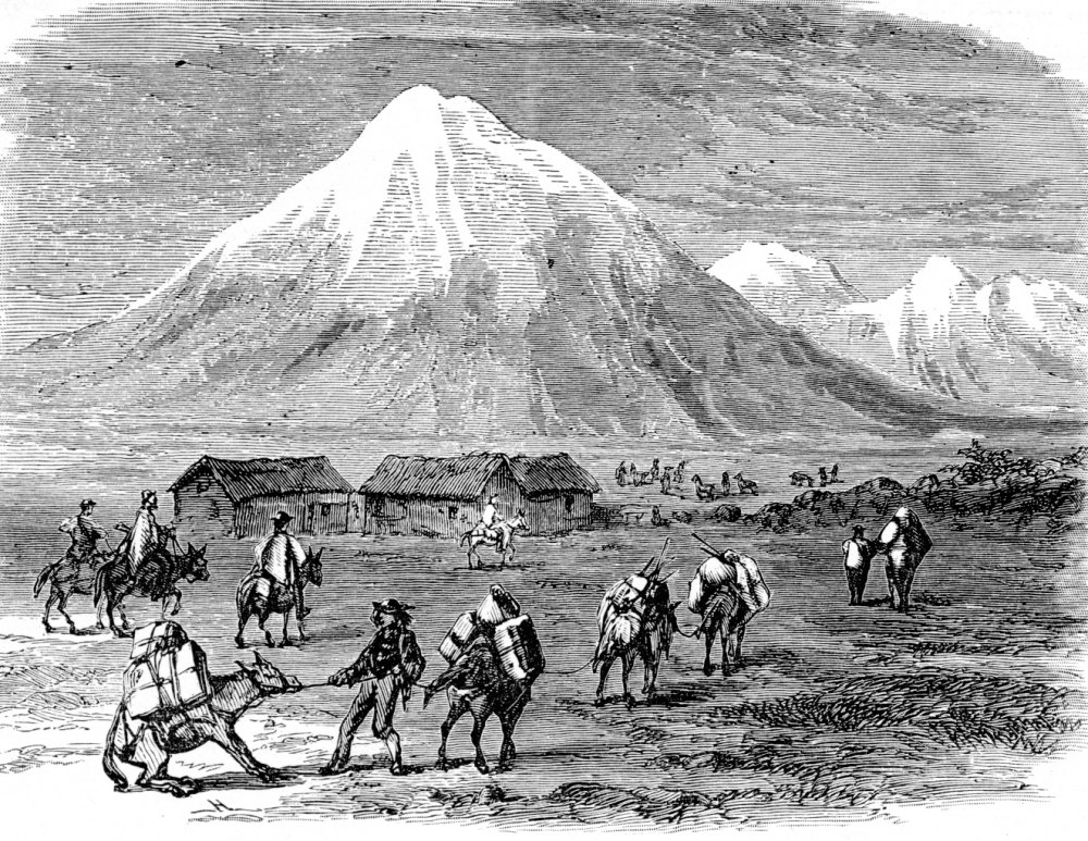 Free A Packtrain Under Way Classroom Clipart