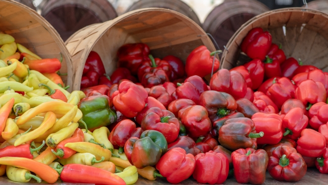 Baskets of red and yellow bell peppers at a farmer's market - Classroom ...