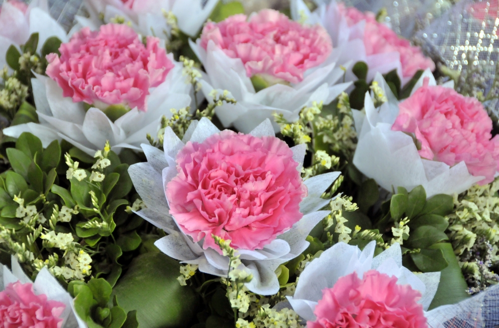 Vietnam PicturesCarnations at an Outdoor Market_27