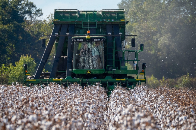 Machine cotton operation - Classroom Clip Art