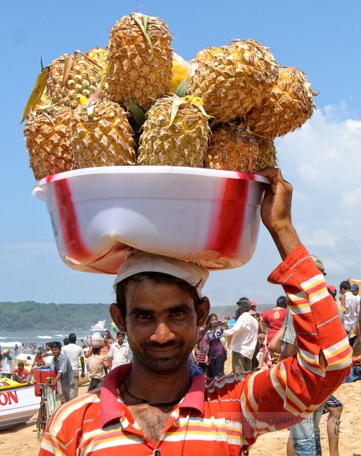 Man holding tub of pineapples on his head, goa india Classroom Clip Art
