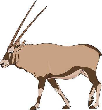 african gemsbok antelope clipart - Classroom Clip Art