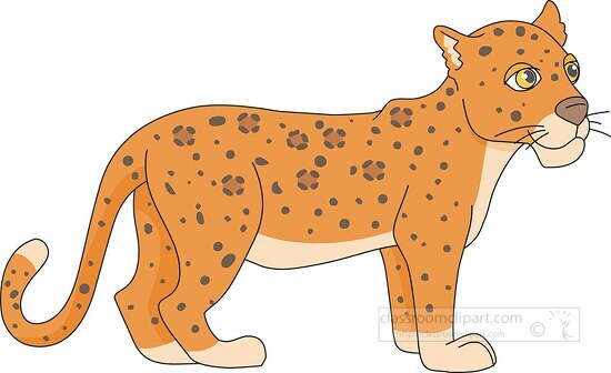 baby african leopard clipart - Classroom Clipart