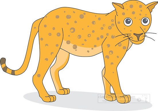 baby leopard 446 - Classroom Clipart