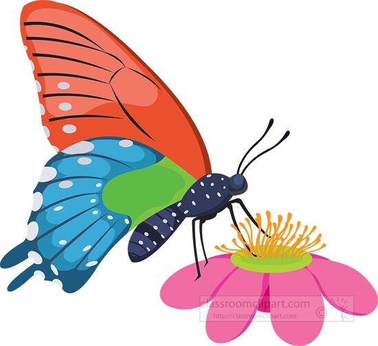 blue red green butterfly on flower clipart Classroom Clip Art