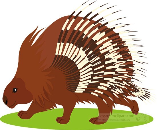 Porcupine Clipart-brown porcupine clipart 6718
