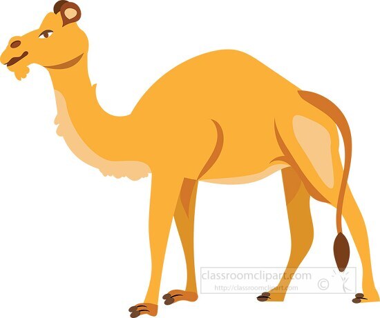 camel standing on all fours illustration clipart - Classroom Clip Art