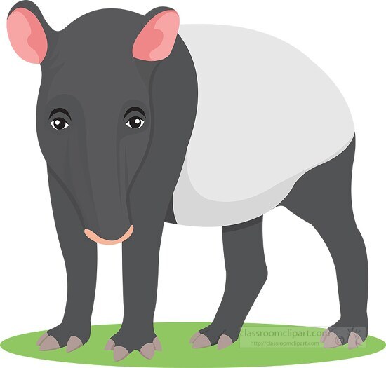 clipart herbivore mammal tapir animal - Classroom Clipart