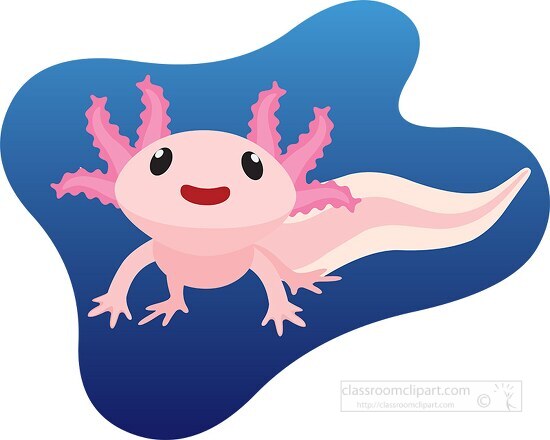 Cute Axolotl Salamander Amphibian Clipart Classroom Clip Art | The Best ...