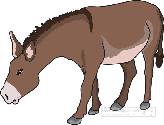 donkey standing all fours - Classroom Clip Art