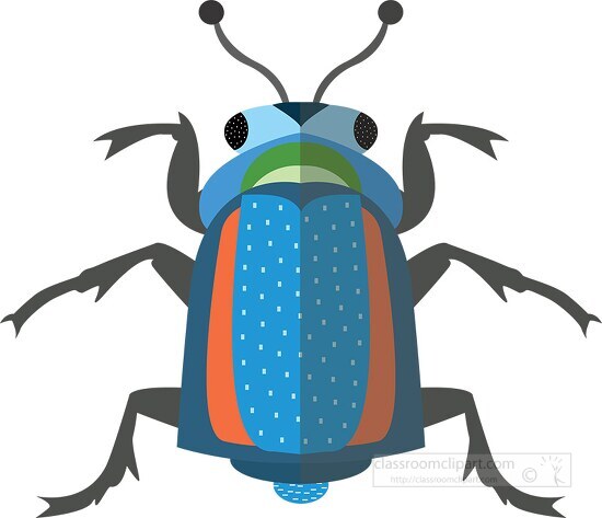 flat design beeetle with colorful illustrated clipart - Classroom Clip Art