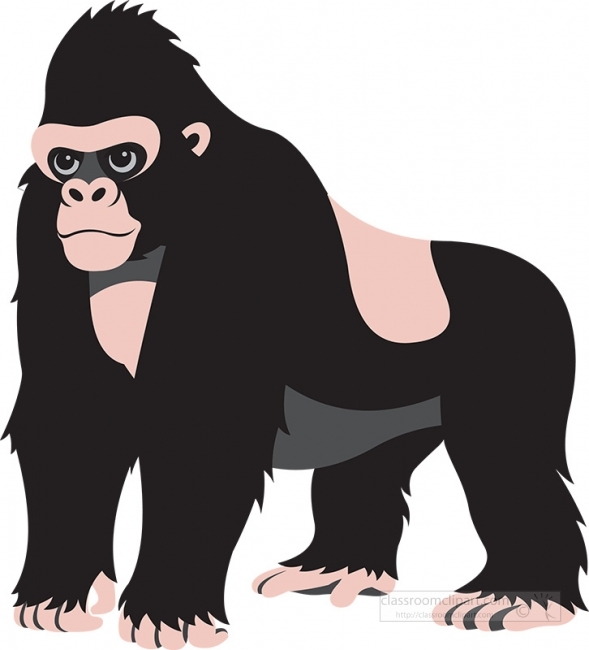 gorilla gray color - Classroom Clip Art