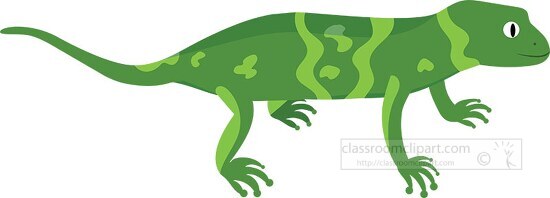 green salamander amphbian vector clipart - Classroom Clipart