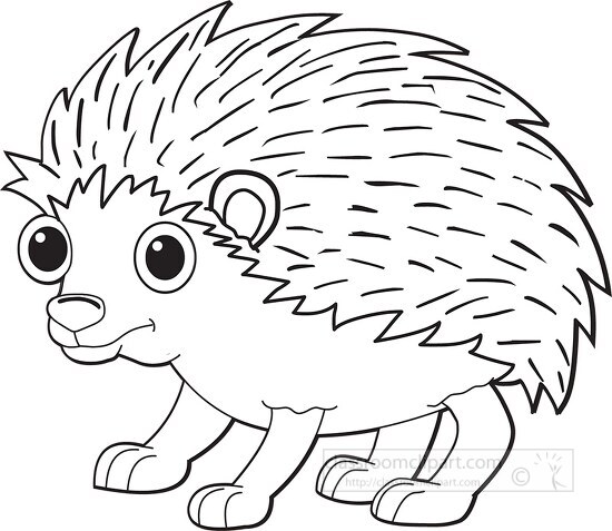 hedgehog with big eyes black white outline clipart - Classroom Clipart