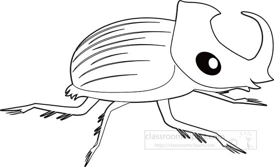 large horned rhinoceros beetle black white outline clipart - Classroom