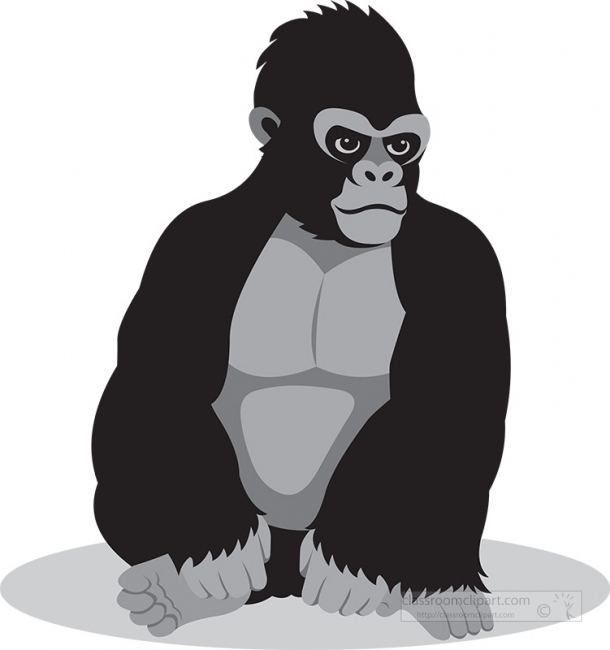 mountain gorilla animal gray color - Classroom Clip Art