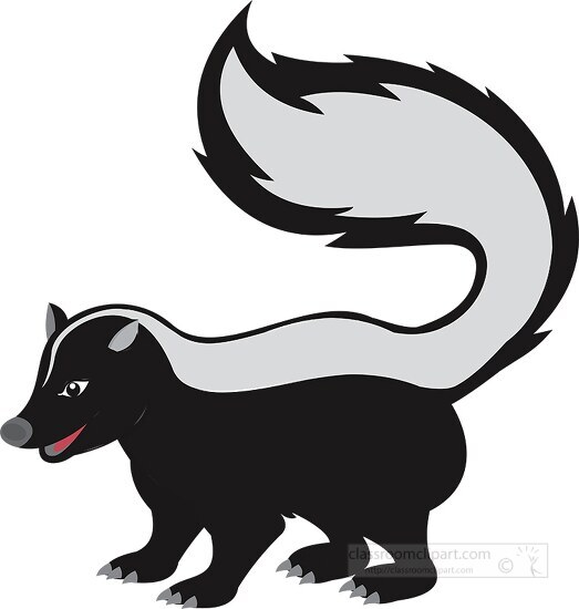 skunk animal clipart 427 - Classroom Clip Art