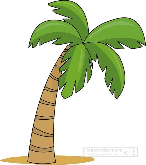 Palm Tree Clipart 08 - Classroom Clip Art