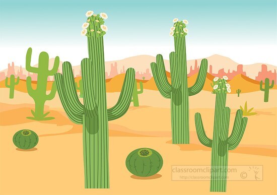 several saguaro cactus in the desert clipart image - Classroom Clip Art