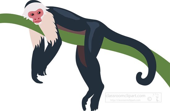 spider monkey resting on tree branch clipart - Classroom Clipart