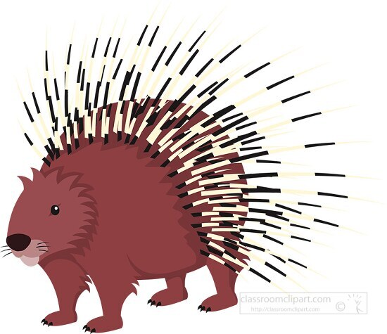spikey porcupine clipart 614 Classroom Clip Art