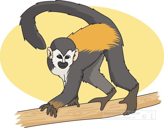 squirrel monkey clipart Classroom Clip Art