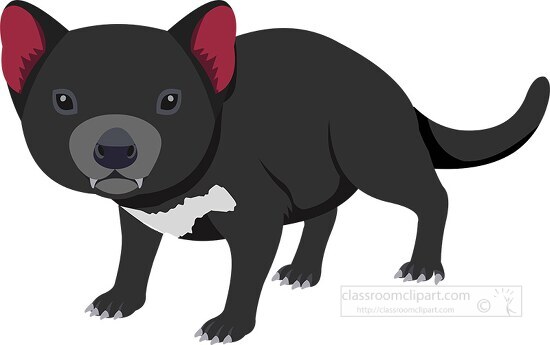 tasmanian devil australia clipart - Classroom Clip Art