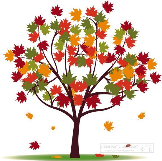 Tree With Fall Foliage Clipart Classroom Clipart