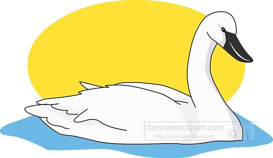trumpeter swan clipart - Classroom Clip Art