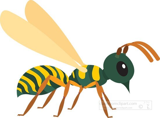 Wasp Insect Clipart Vector Illustration Classroom Clip Art