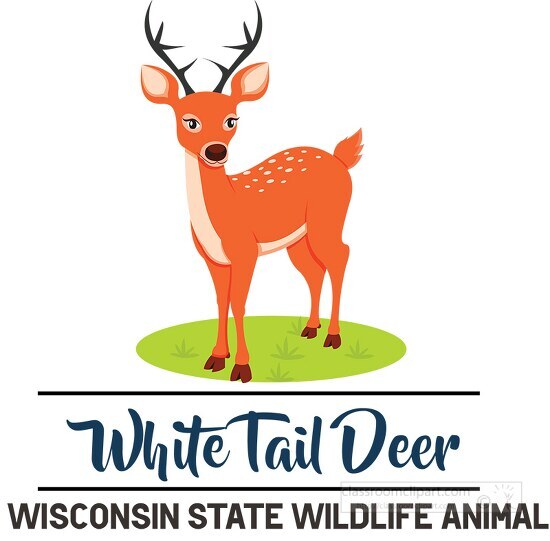 wisonsin state wildlife animal white tail deer clipart Classroom Clip Art