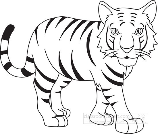 stripped bengal tiger black white outline clipart