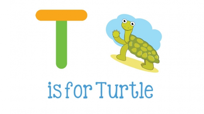 Alphabet Letters Animated Clipart-t turtle animated alphabet