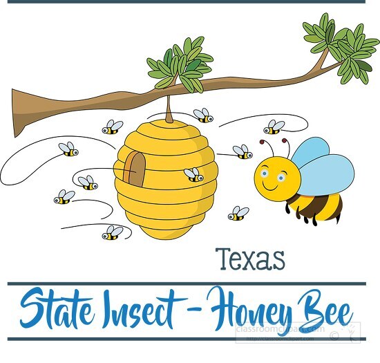 Texas state insect the honey bee clipart image