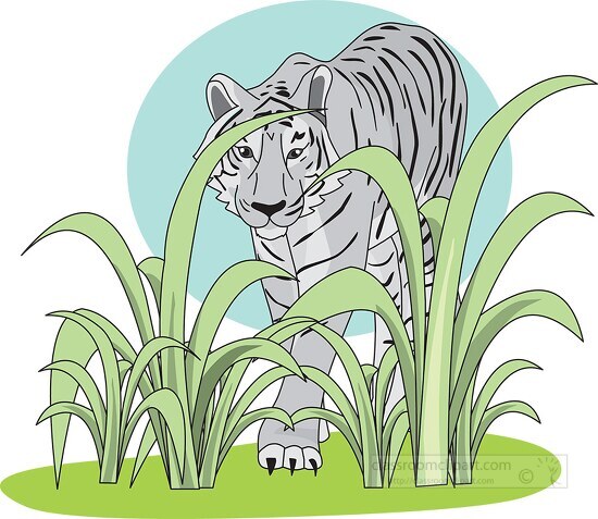 tiger gray blue hiding behind green plants clipart